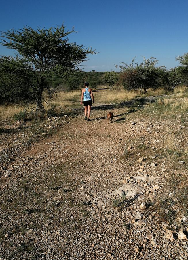 אוטג'ו Etotongwe Lodge מראה חיצוני תמונה